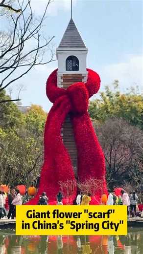 6.5K views · 60 reactions | In Kunming, known as China's "Spring City," visitors rushed to snap photos with a breathtaking giant red "scarf" crafted entirely from vibrant flowers. #ChinaTravel #China #Amazing #Flower #Scarf | China Xinhua News | Facebook