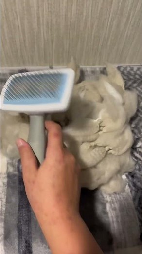 Making a realistic wolf tail