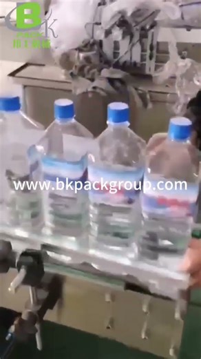 Mineral Water Bottles Automatic Cap Feeding and Capping Machine | High-Speed Bottle Capping Line