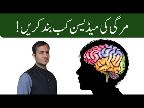 When to Stop Epilepsy Medications | Safe Guidelines for Epilepsy Patients