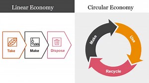 Circular Design: The Sustainable Solution for a Greener Future