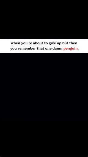 Ꭺɴɴɪ | Penguins are a group of flightless, semi-aquatic, sea birds which live almost exclusively in the Southern Hemisphere. Only one species, the... | Instagram
