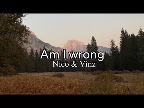 Am I wrong (lyrics)