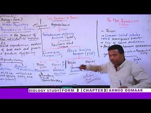 Form Three/Biology/Chapter 3/Human Physiology - Reproductive System/Somaliland Syllabus/Sahan Tv.