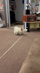 13K views · 1.5K reactions | Good morning!! Happy Tuesday, February...