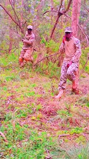 Merry Christmas and Happy New Year Celebrations