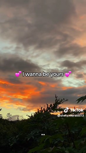 I wanna be yours significado y letra en español