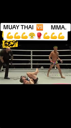 reda_fightshow on TikTok