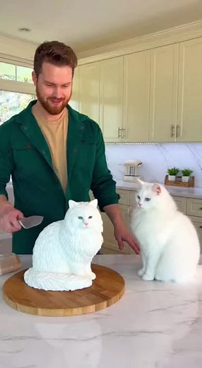 Adorable White Angora Cat Cake Cutting Video 🤍🐱