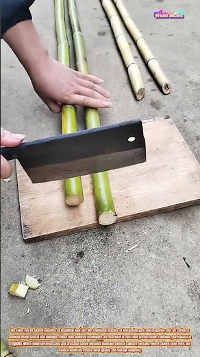 The Art of Traditional Pork Butchery and Preservation Preparation