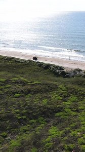 66 reactions | Planning a Texas holiday? 鸞 Pair San Antonio’s rich...