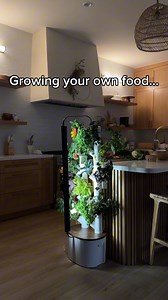 25K reactions · 455 shares | Save 20% on all Gardyn Devices with code Cyber20! 塞 Grow 100+ plants indoors without pesticides  Perfect for fresh meals, holiday feasts, and beyond  A sustainable, planet-friendly gift they’ll cherish Shop now before this deal wilts away—hurry, the Cyber sale ends soon! | Gardyn | Facebook