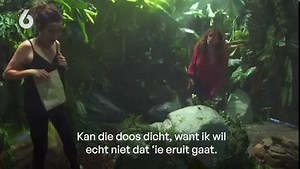 Katja staat doodsangsten uit! 🕷😅 😂 Code van Coppens kijk je hier terug: https://bit.ly/3PLtB0z | SBS 6
