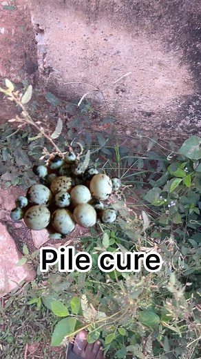 18K views · 294 reactions | Q pile with this method | De philosophy page | Facebook