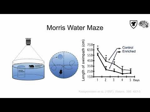 Tricky Topics: Spatial Memory