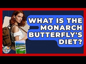 What Is The Monarch Butterfly's Diet? - The Geography Atlas