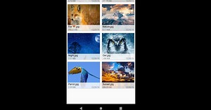 Download and run File Manager - Fennec File Manager on PC & Mac (Emulator)