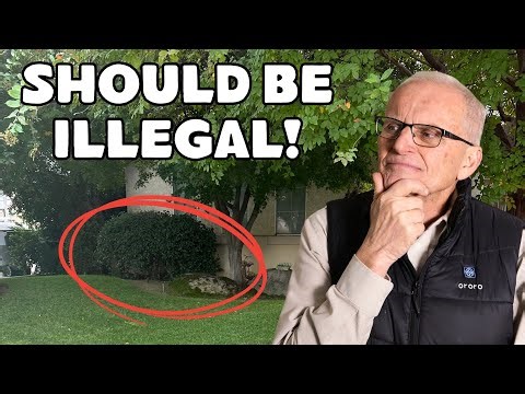 My 11 Biggest Landscaping Mistakes