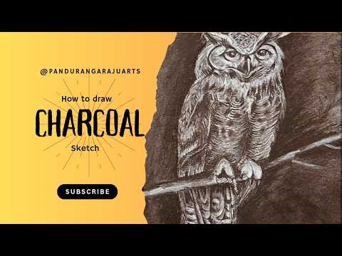 Realistic Owl Drawing with Charcoal Pencil | Step-by-Step