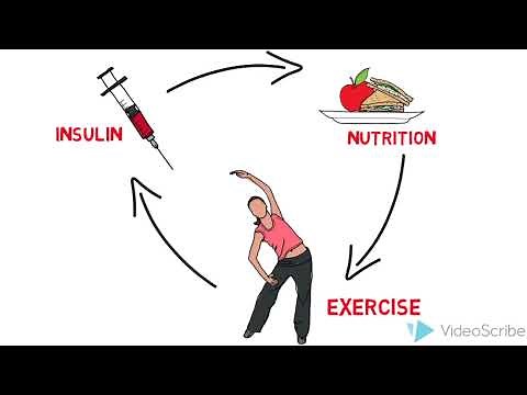 Type 1 Diabetes explained