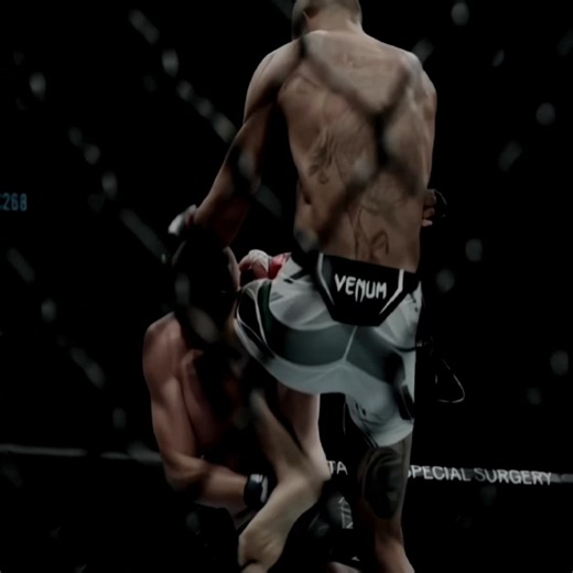 Alex Pereira knockout of 'That French Baldy' in 3 rounds