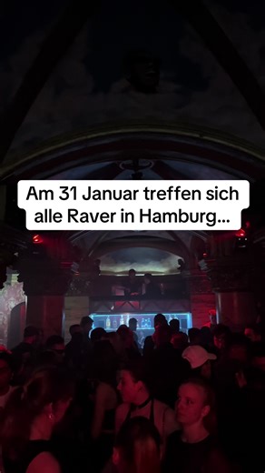 31/01 Rave Festival Hamburg