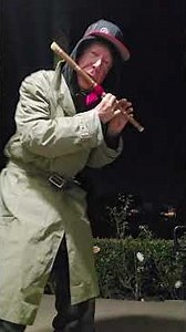 FOOL AT THE COVE, BED IN A SHROUD 🛌💨 FUNNY, NO?