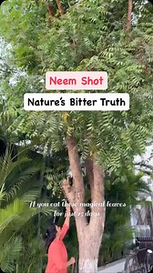 Hetal Chheda | Dietitian/Nutritionist on Instagram: "🚨 90% People Don’t Know This Powerful Summer Immunity Hack! 🚨 Did you know that Neem leaves have 130+ bioactive compounds that can boost your immunity, purify your blood, and even keep infections away? Yet, most people ignore this ancient superfood! According to Ayurveda, consuming fresh, small Neem leaves on an empty stomach during Chaitra month helps protect your body from seasonal infections, flu, and even skin issues like acne. Don’t let