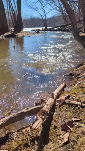 water ooooOoo look water outside air yesss