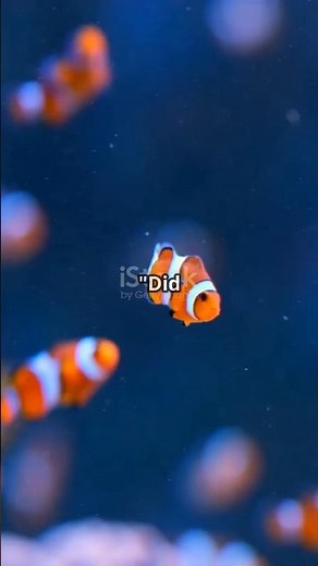 Fish That Change Sex: Nature's Gender Benders!