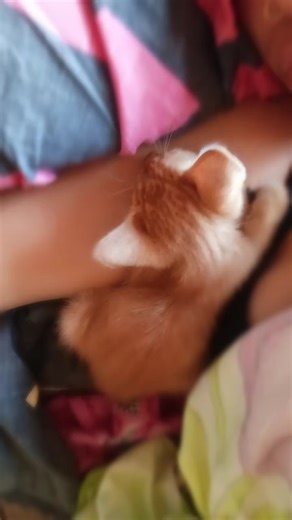 Os vídeos de Lisa_uchiha (@lisandraandry) com som original - Luck