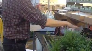 Tropica Aquarium Plants on Reels