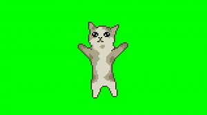 Jumping Cat Pixel Art Meme Animation Stock Footage Video (100% Royalty-free) 3628308049 | Shutterstock
