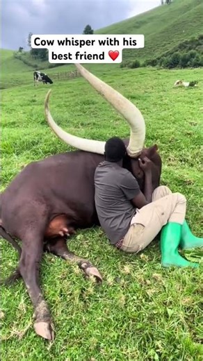 The best place to visit in Africa |Bigogwe #visitbigogwe #shorts