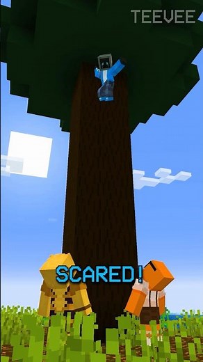 TeeVee Climbs a Tree