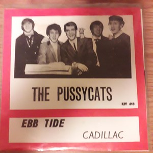 The Pussycats - Ebb Tide