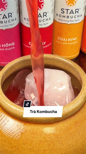 Thùng 12 lon trà Kombucha hỗ trợ tiêu hóa ngon miệng