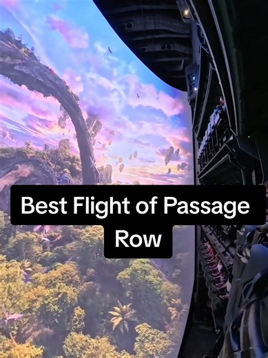 Best Flight of Passage Row: Which Flight of Passage Row Is Best?