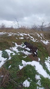 Joe il temerario | Masseria Moccaro