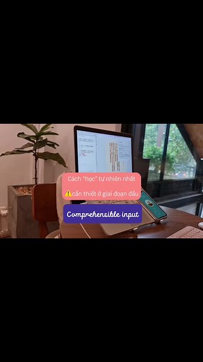 Comprehensible Input: Phương Pháp Học Tiếng Trung Hiệu Quả