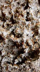 20K views · 68 reactions | Many small termite build temple for live殺 | Primitive Ideas | Facebook