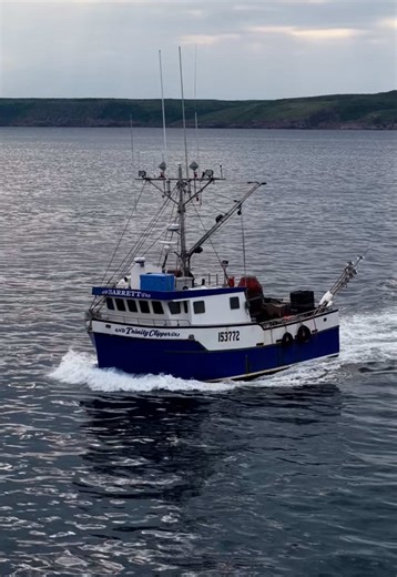 Trinity Clipper: Exploring Newfoundland's Fishing Boats