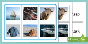 Initial 'sh' Sound Photo Matching Board and Cards