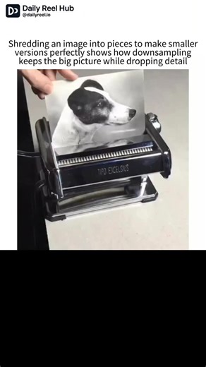 DAILY REELS HUB on Instagram: "Shredding an image into tiny pieces is a surprisingly cool way to understand how downsampling works. When you cut a photo into small sections and look at each piece on its own, all the tiny details disappear—but the bigger shapes and colors still stand out. That’s exactly what happens when a computer reduces an image’s resolution. It keeps the overall structure while letting go of the finer patterns our eyes wouldn’t notice at a smaller size. In digital processing,