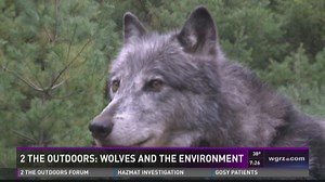 Wolves And The Environment
