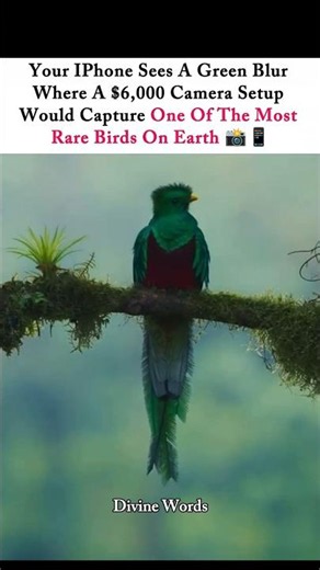 Capturing one of the rarest birds on Earth! 😳🦜 #wildlifephotography #birdphotography #rarebirds