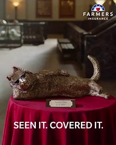 These dogs went to town on a car chasing a cat mid-nap on a sunroof. And Farmers® covered their scratches on 2/2/17. | Farmers Insurance