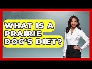 What Is A Prairie Dog's Diet? - The Wild Life Explorer