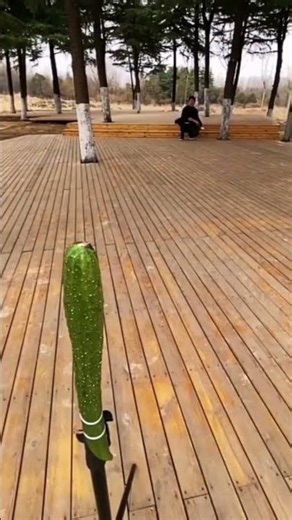 #cucumber#cute#asmr#shortsfeed#trending#viral#popular#20k#new#card#cardtricks