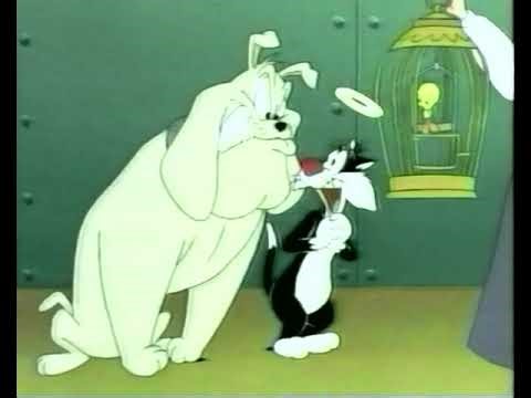 2000 Cartoon Network promo break (40)